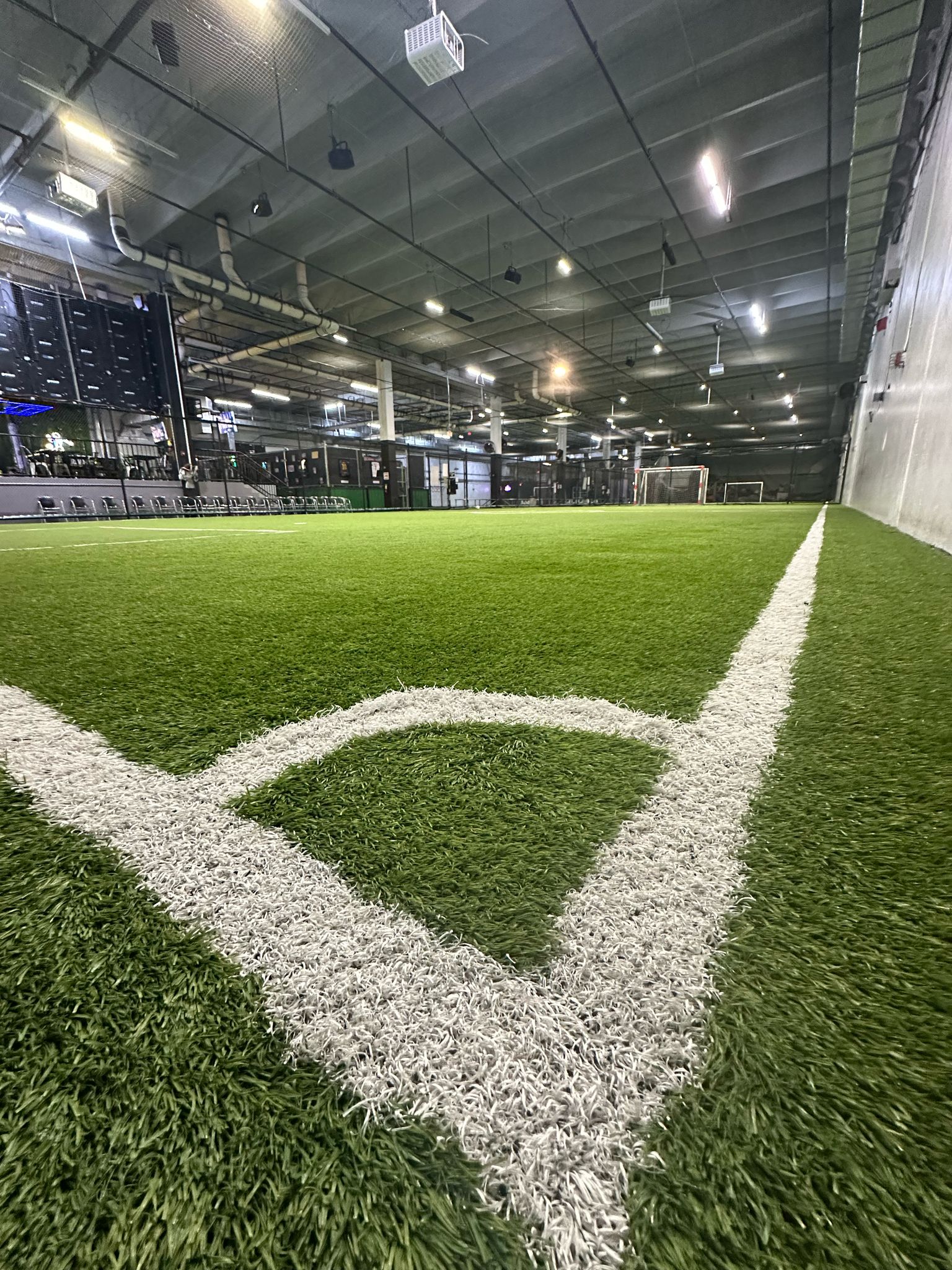 Professional turf field